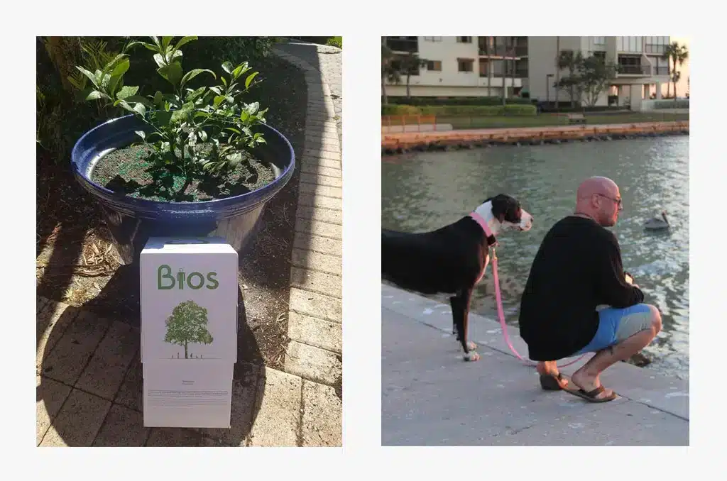 Bios Urn Blog: Robert chose Bios Urn Pets®, a biodegradable tree urn and planted a Cocktail Tree with Key Limes and Meyer´s Lemons in Heidi's memory.