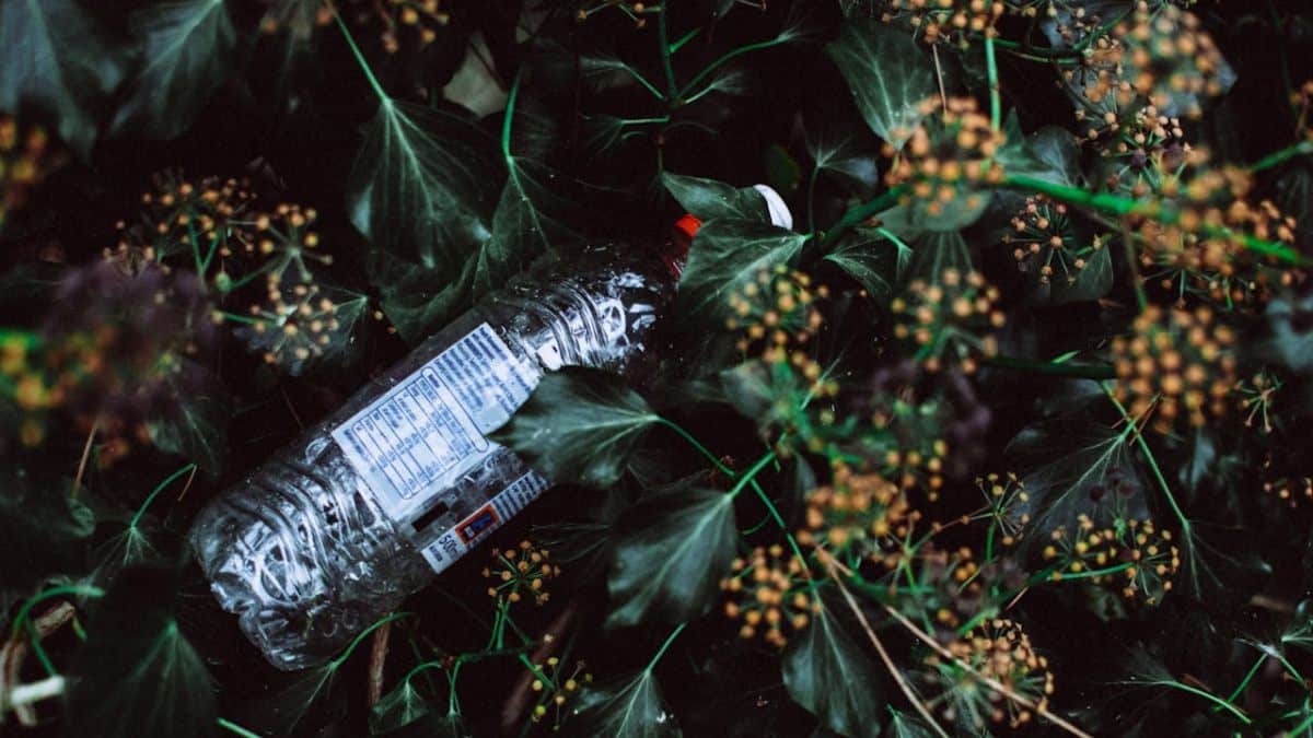 Can Plastivores Like Worms and Microbes Change the Future of Plastic Waste?